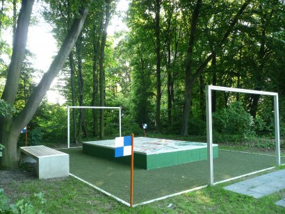 Ballsport-Decke (Picknickplatz) Darstellung 2